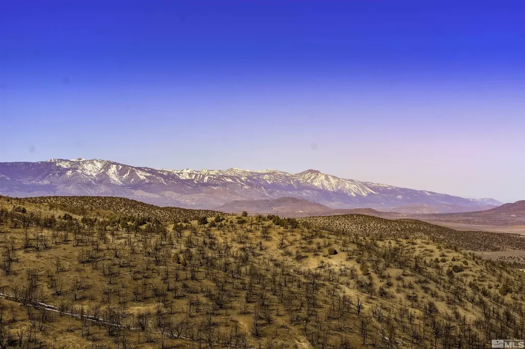 Tbd Parcels At Pine Nut Creek Area Gardnerville NV 89410