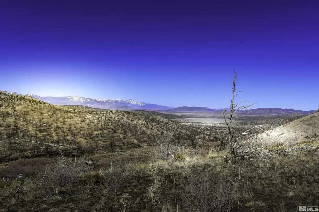 Tbd Parcels At Pine Nut Creek Area Gardnerville NV 89410