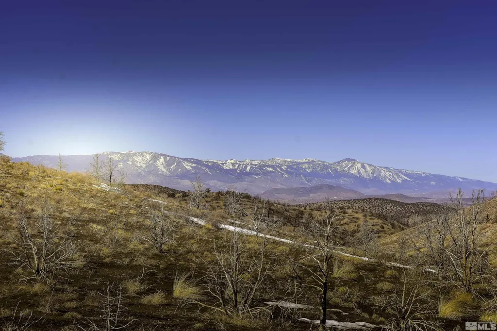 Tbd Parcels At Pine Nut Creek Area Gardnerville NV 89410