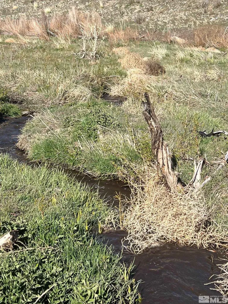 Tbd Parcels At Pine Nut Creek Area Gardnerville NV 89410