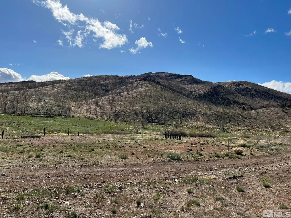 Tbd Parcels At Pine Nut Creek Area Gardnerville NV 89410