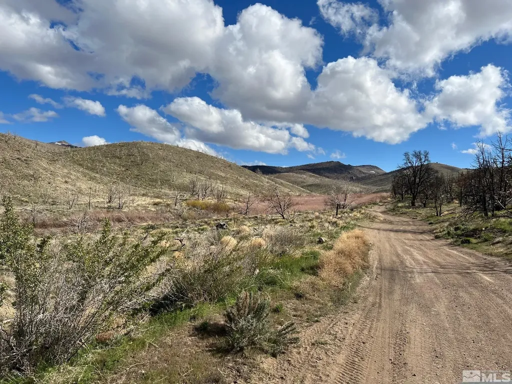 Tbd Parcels At Pine Nut Creek Area Gardnerville NV 89410