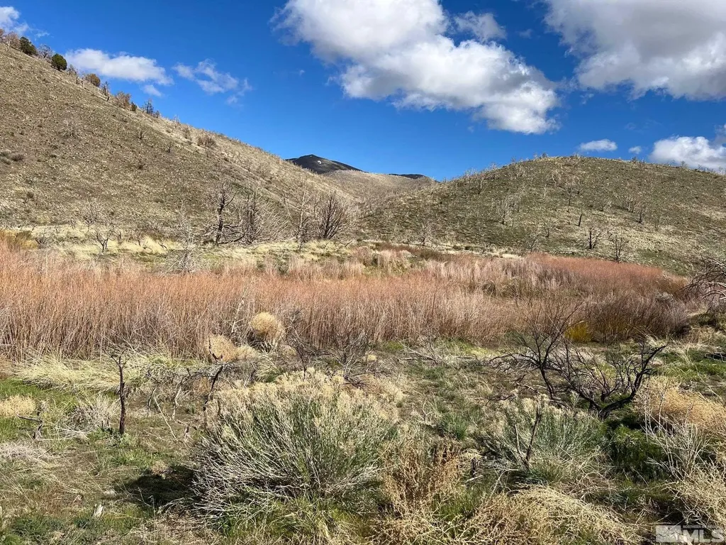 Tbd Parcels At Pine Nut Creek Area Gardnerville NV 89410