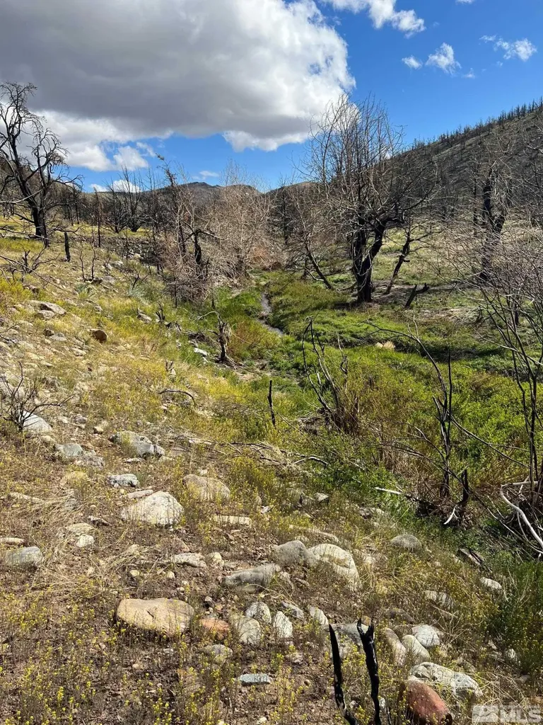 Tbd Parcels At Pine Nut Creek Area Gardnerville NV 89410