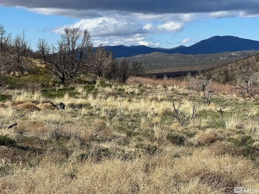 Tbd Parcels At Pine Nut Creek Area Gardnerville NV 89410