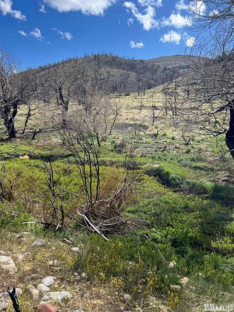 Tbd Parcels At Pine Nut Creek Area Gardnerville NV 89410