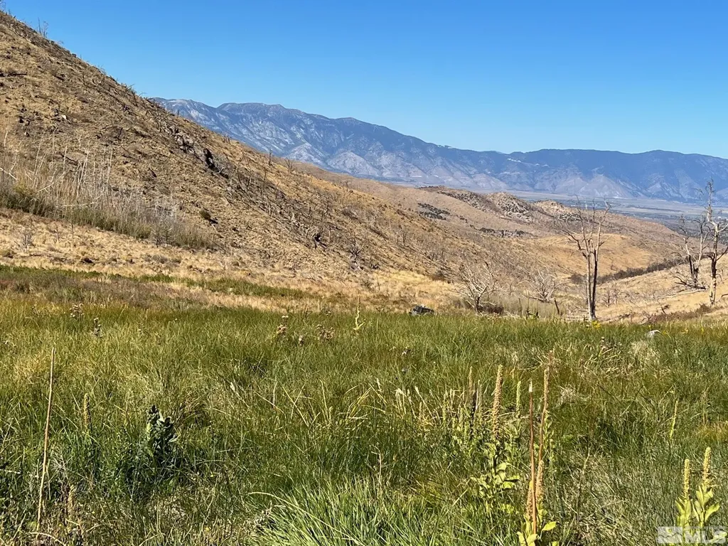 Tbd Parcels At Pine Nut Creek Area Gardnerville NV 89410