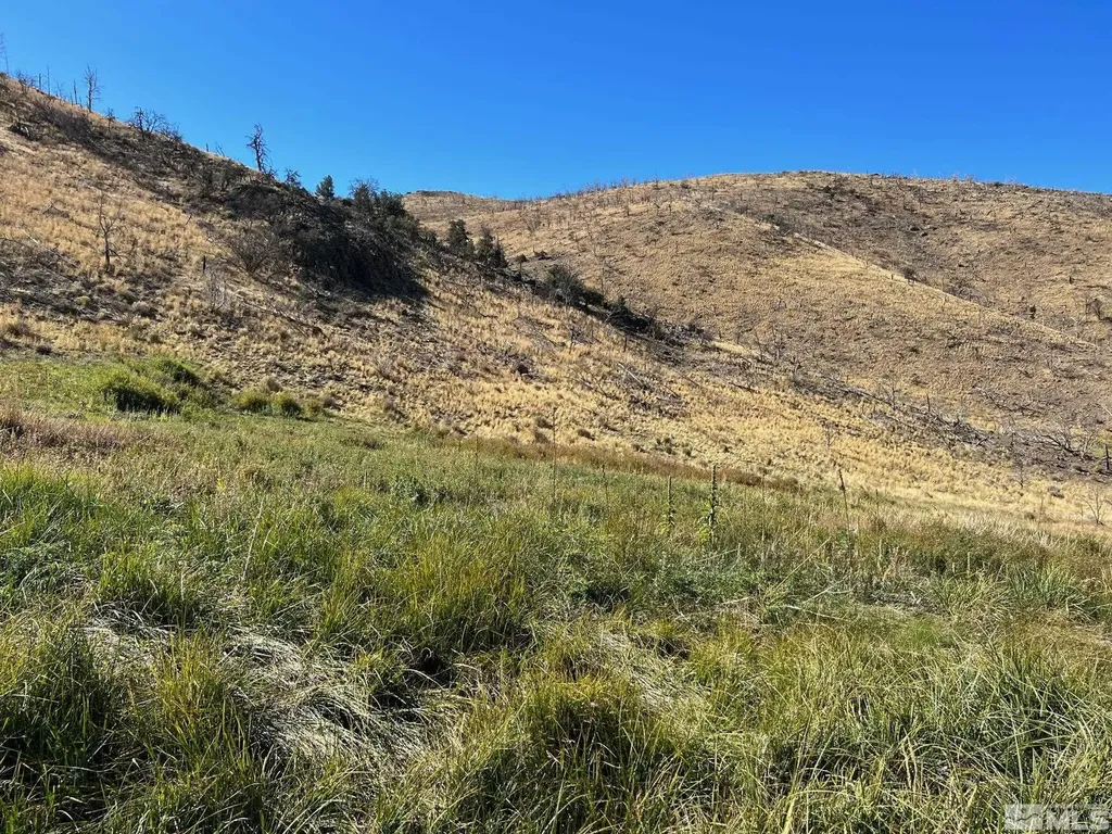 Tbd Parcels At Pine Nut Creek Area Gardnerville NV 89410