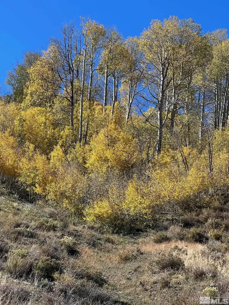 Tbd Parcels At Pine Nut Creek Area Gardnerville NV 89410