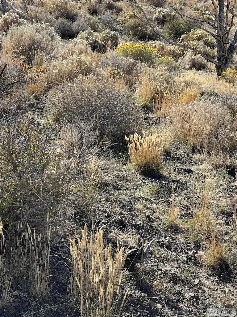 Tbd Parcels At Pine Nut Creek Area Gardnerville NV 89410
