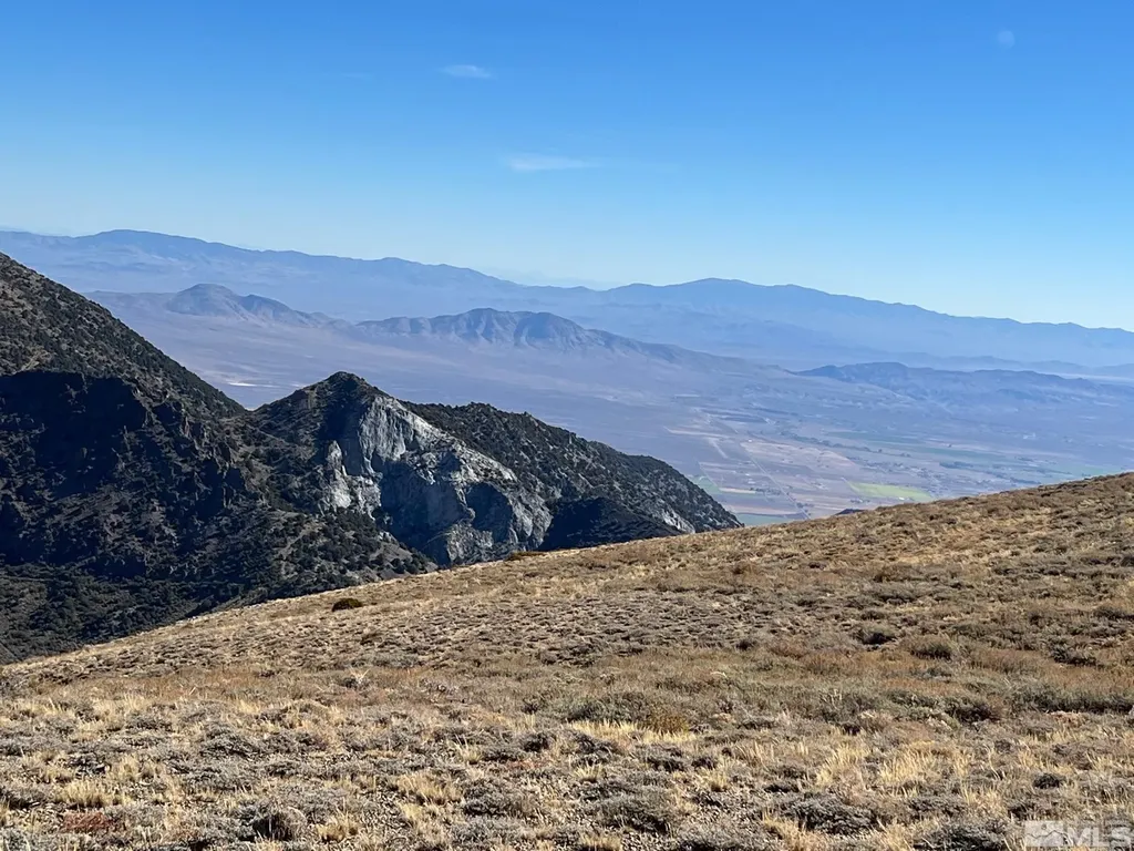 Tbd Parcels At Pine Nut Creek Area Gardnerville NV 89410