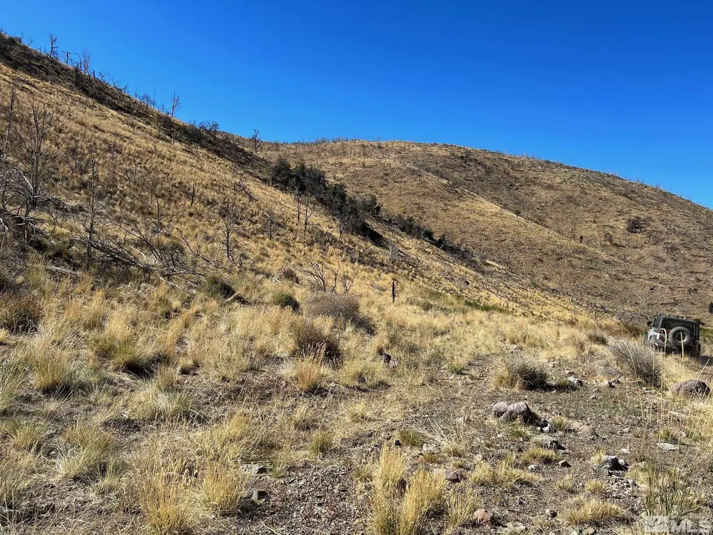 Tbd Parcels At Pine Nut Creek Area Gardnerville NV 89410