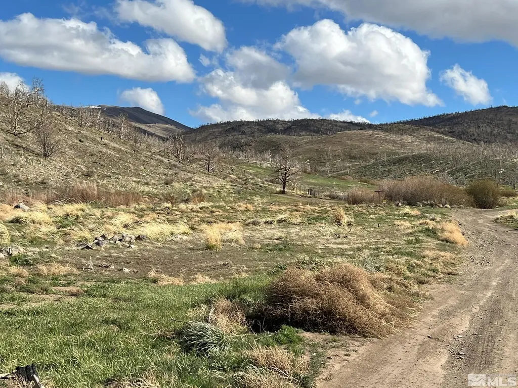 Tbd Parcels At Pine Nut Creek Area Gardnerville NV 89410