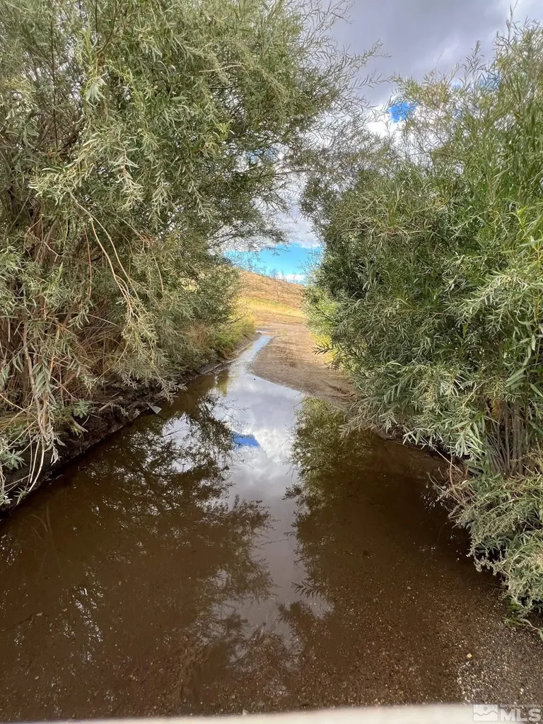 Tbd Parcels At Pine Nut Creek Area Gardnerville NV 89410