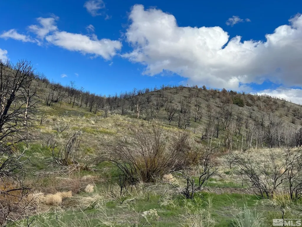 Tbd Parcels At Pine Nut Creek Area Gardnerville NV 89410