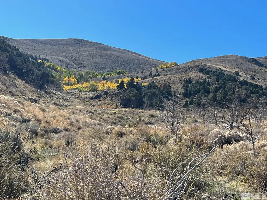 Tbd Parcels At Pine Nut Creek Area Gardnerville NV 89410