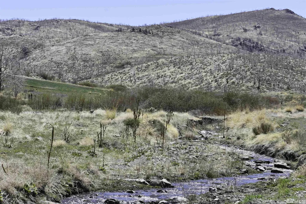 Tbd Parcels At Pine Nut Creek Area Gardnerville NV 89410