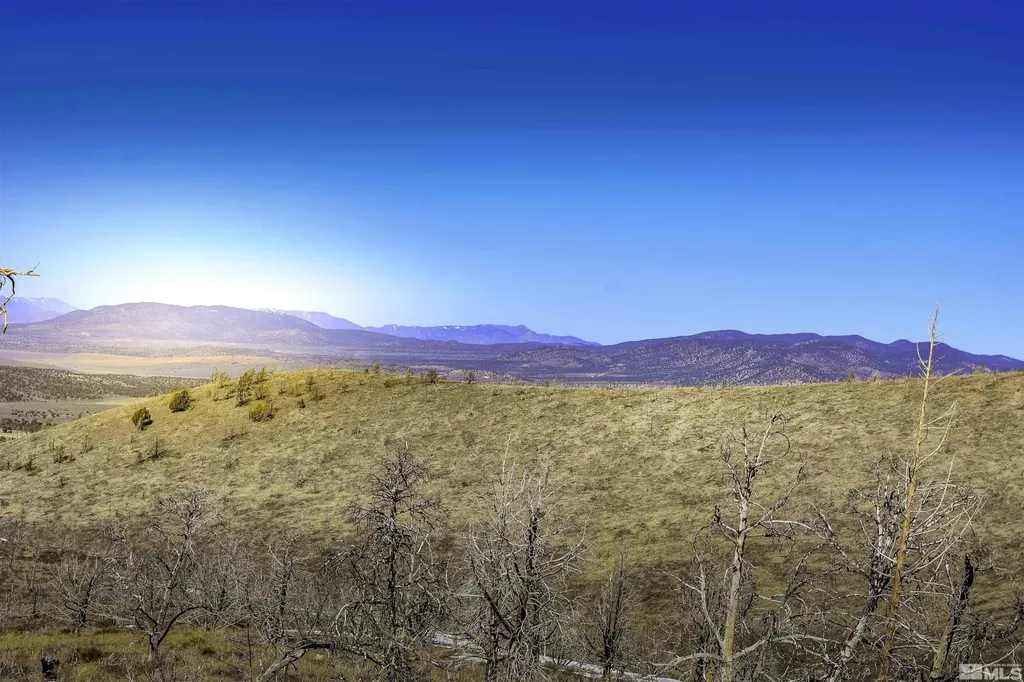Tbd Parcels At Pine Nut Creek Area Gardnerville NV 89410