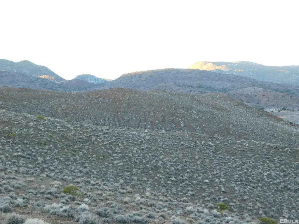 00610106 Schaad Dayton NV 89403