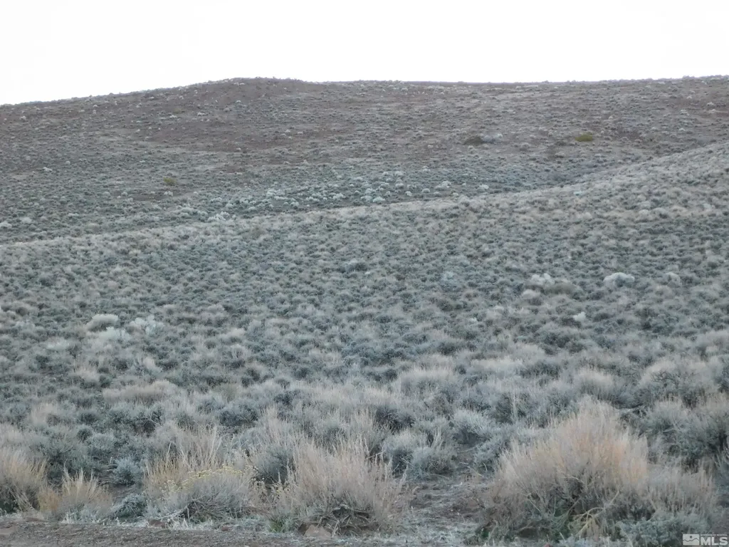 00610106 Schaad Dayton NV 89403