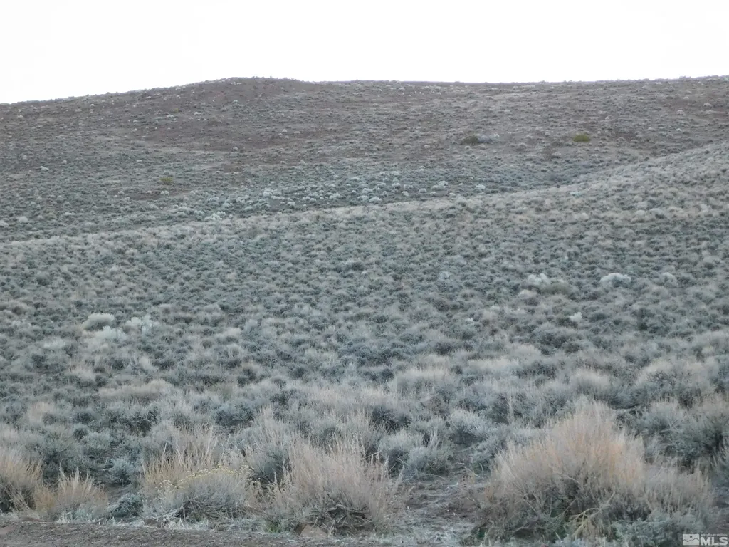 00610106 Schaad Dayton NV 89403
