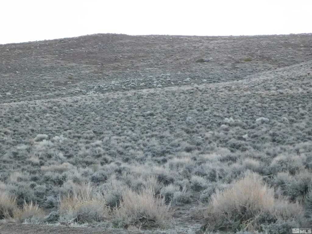 00610106 Schaad Dayton NV 89403