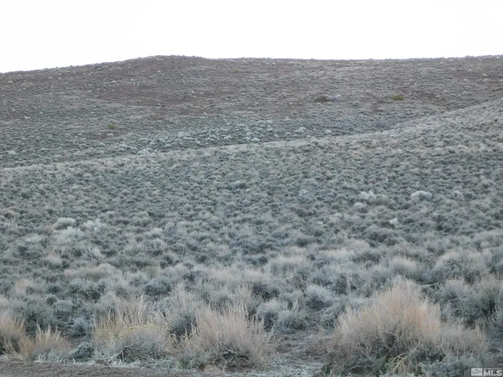 00610106 Schaad Dayton NV 89403