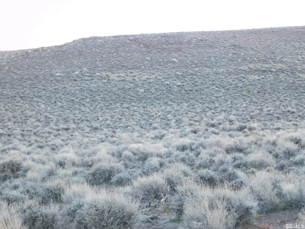 00610106 Schaad Dayton NV 89403