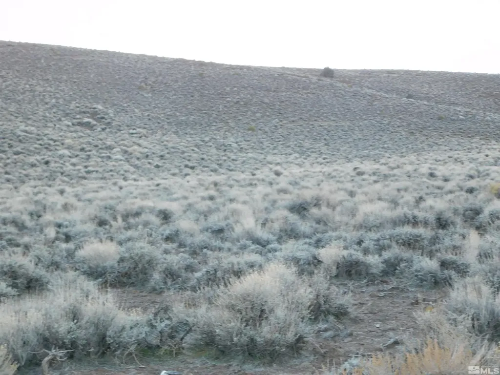 00610106 Schaad Dayton NV 89403