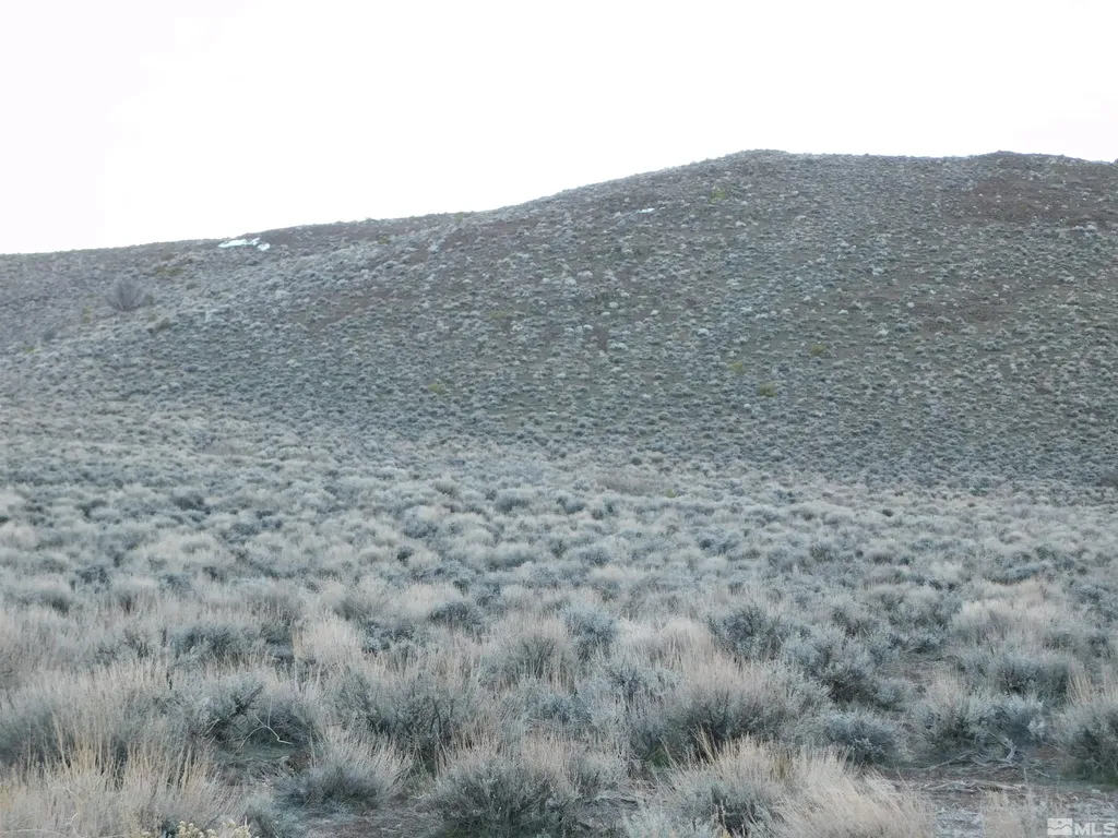 00610106 Schaad Dayton NV 89403
