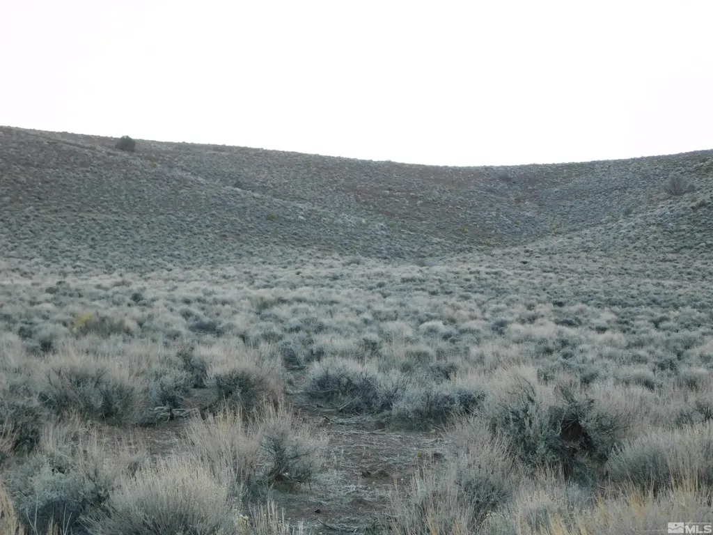 00610106 Schaad Dayton NV 89403