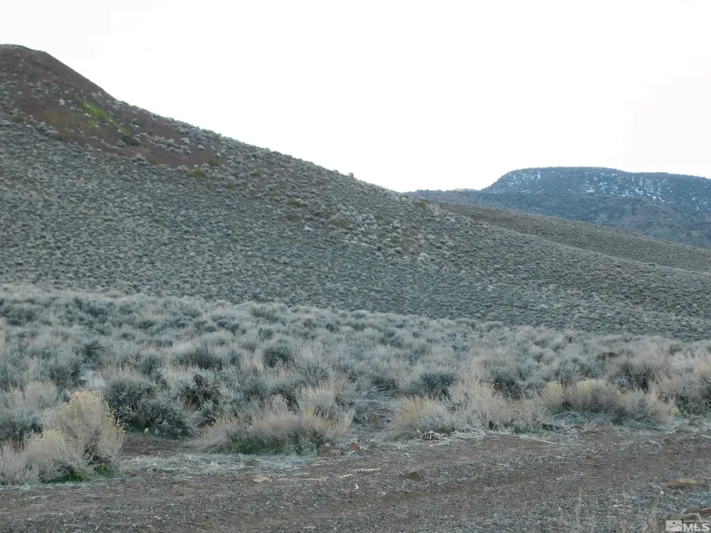 00610106 Schaad Dayton NV 89403