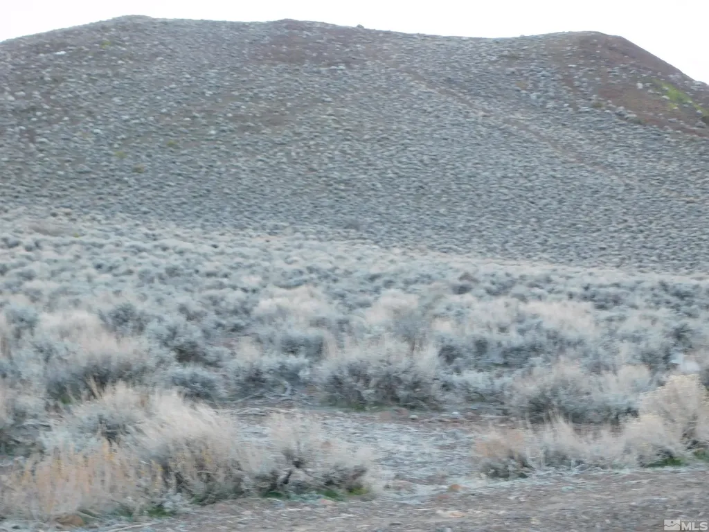 00610106 Schaad Dayton NV 89403