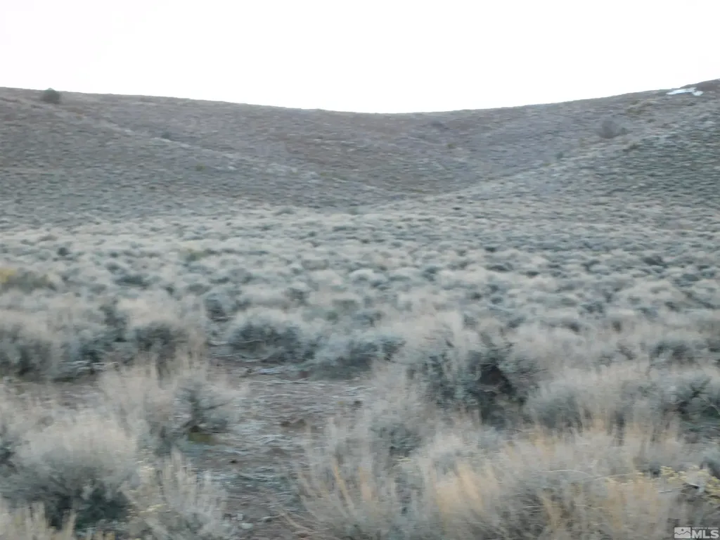 00610106 Schaad Dayton NV 89403