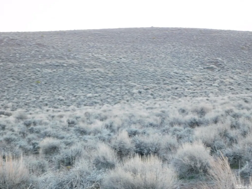 00610106 Schaad Dayton NV 89403