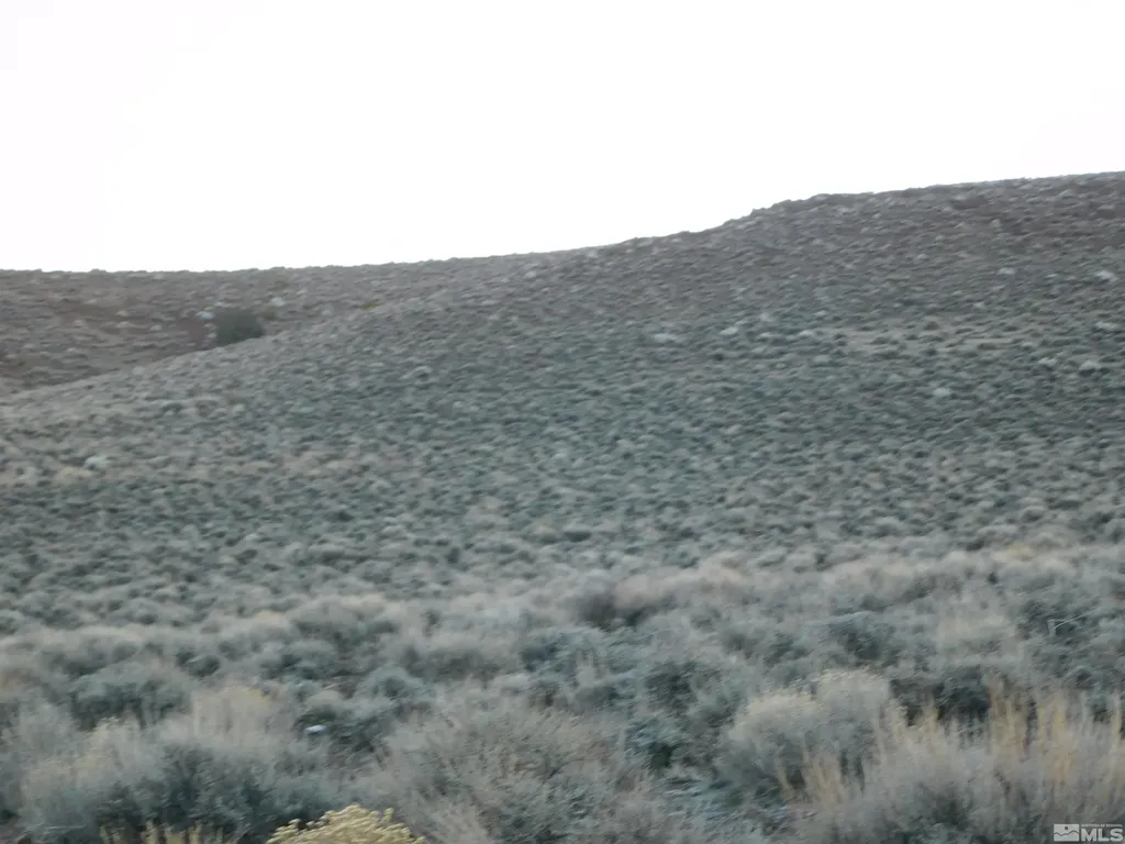 00610106 Schaad Dayton NV 89403