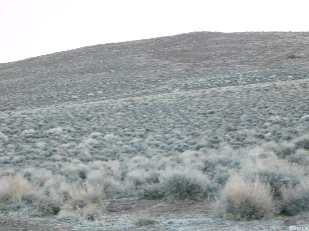 00610106 Schaad Dayton NV 89403