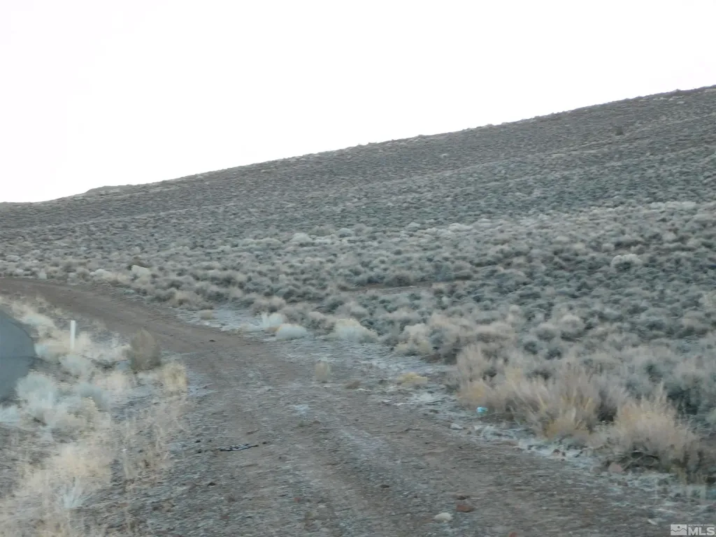00610106 Schaad Dayton NV 89403