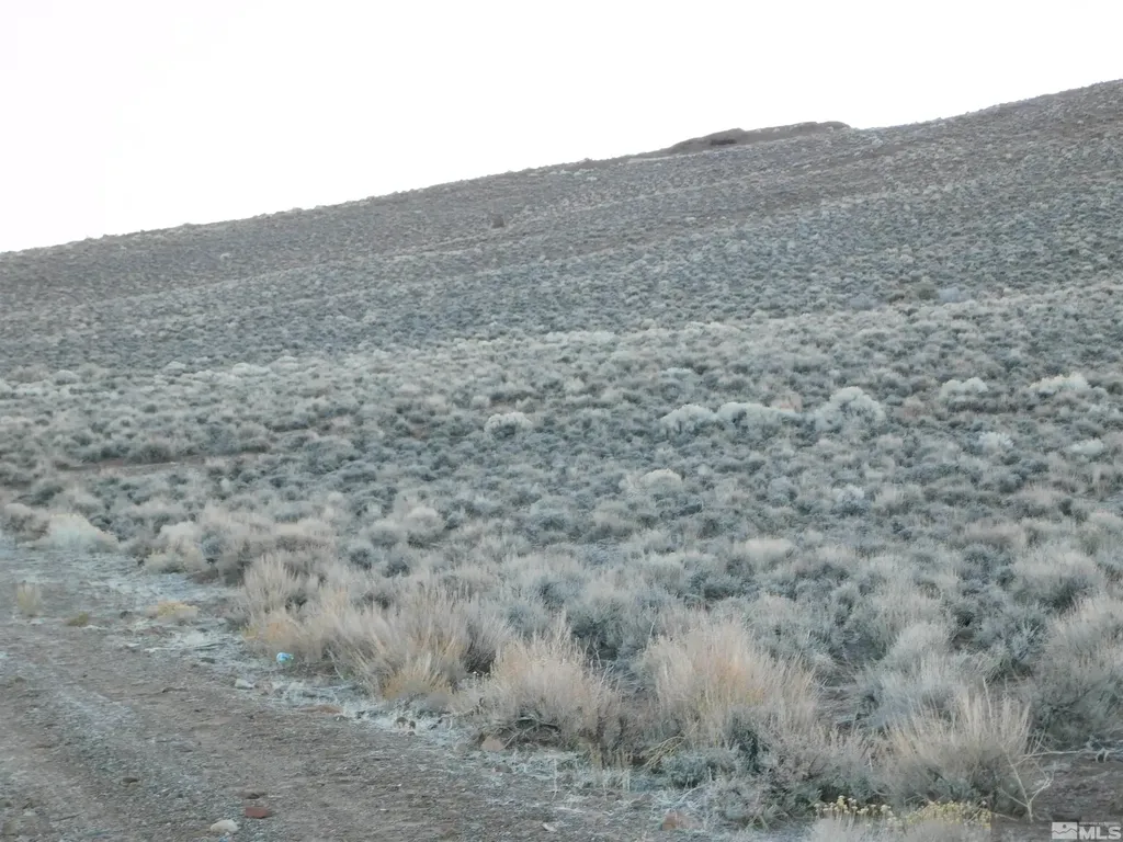 00610106 Schaad Dayton NV 89403