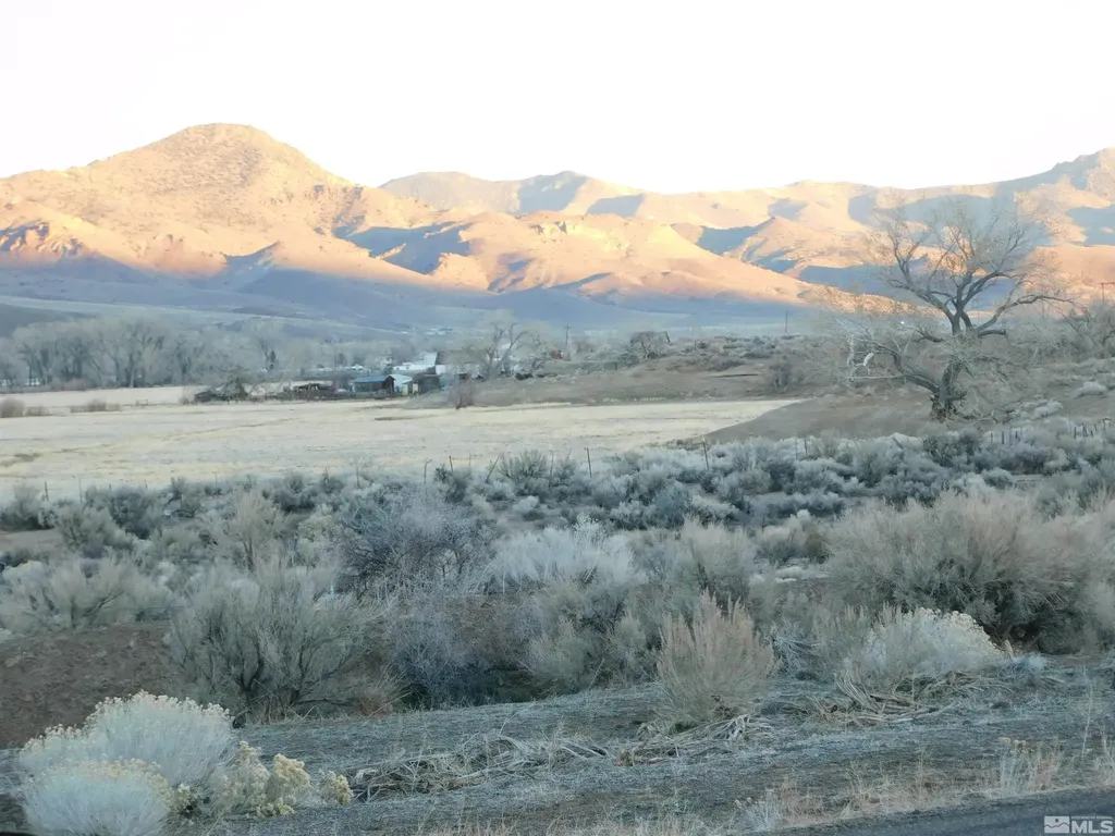 00610106 Schaad Dayton NV 89403