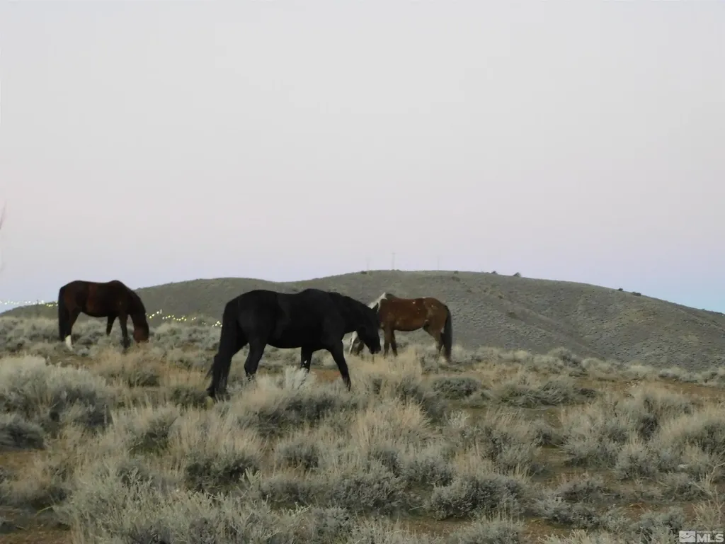 00610106 Schaad Dayton NV 89403