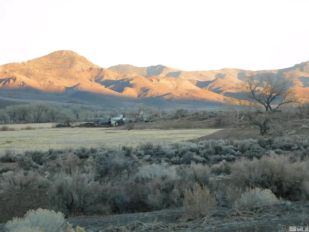 00610106 Schaad Dayton NV 89403