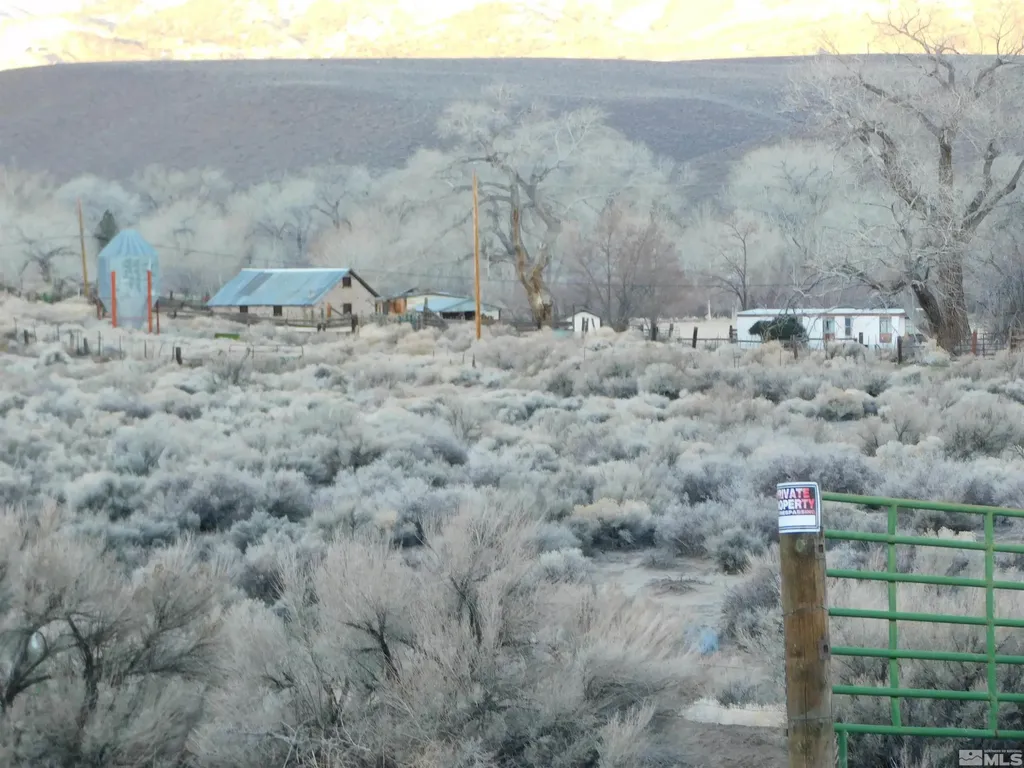 00610106 Schaad Dayton NV 89403