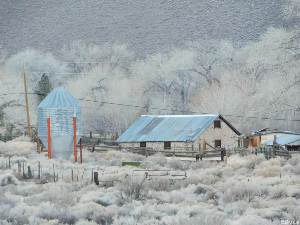 00610106 Schaad Dayton NV 89403