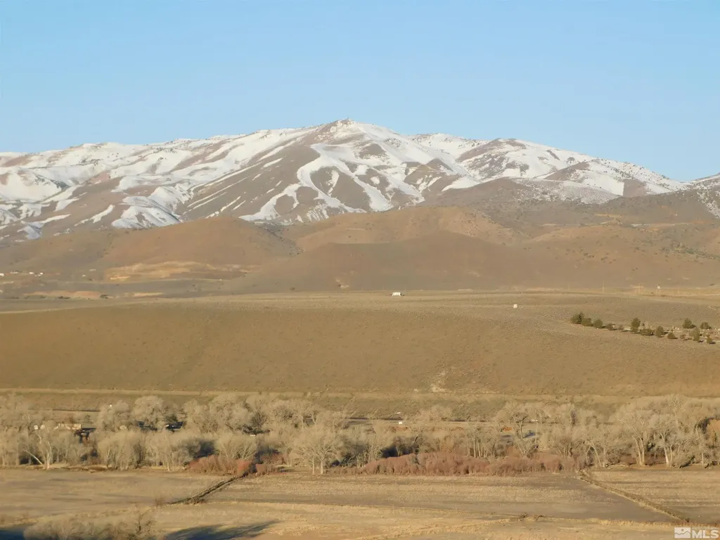 00610106 Schaad Dayton NV 89403