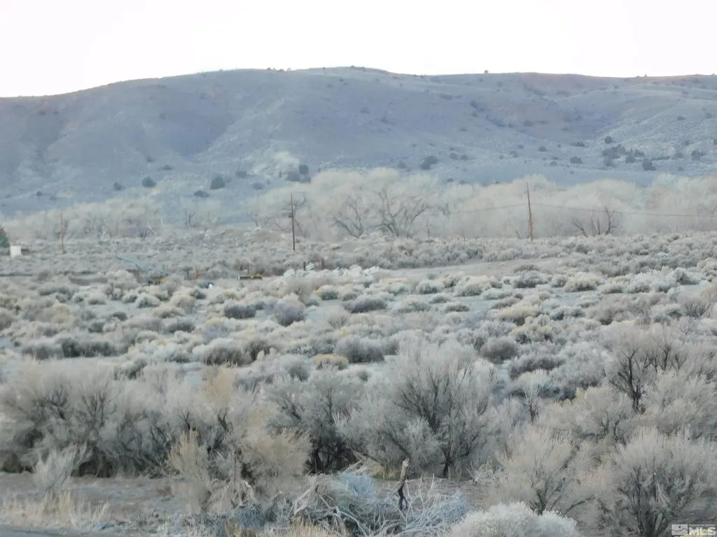 00610106 Schaad Dayton NV 89403