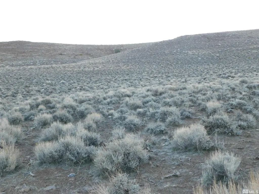 00610106 Schaad Dayton NV 89403