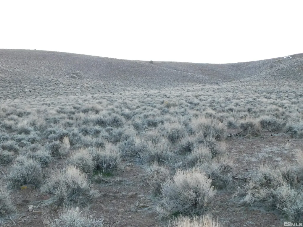 00610106 Schaad Dayton NV 89403