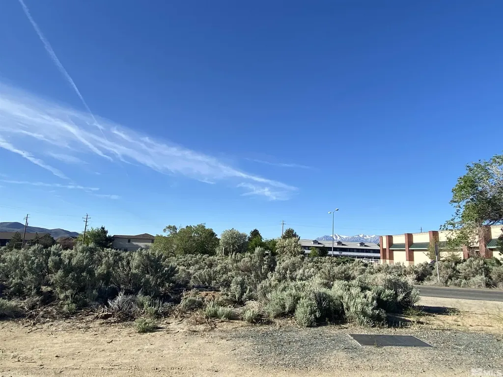 4631 Snyder Carson City NV 89701