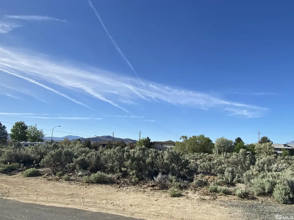 4631 Snyder Carson City NV 89701